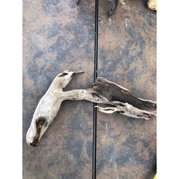 Natural Driftwood for Plants Terrarium Taxidermy Art Projects - Picture 5 of 8